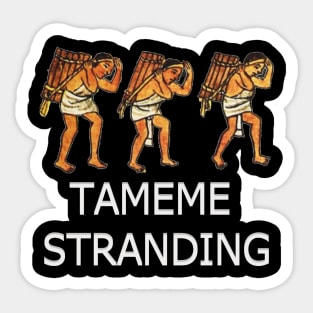 TAMEME STRANDING Sticker